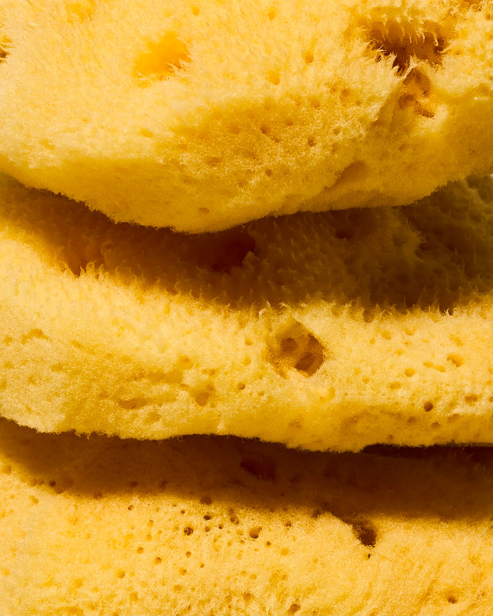 JO - Natural Bleached Fine Silk Sponge - Image 5