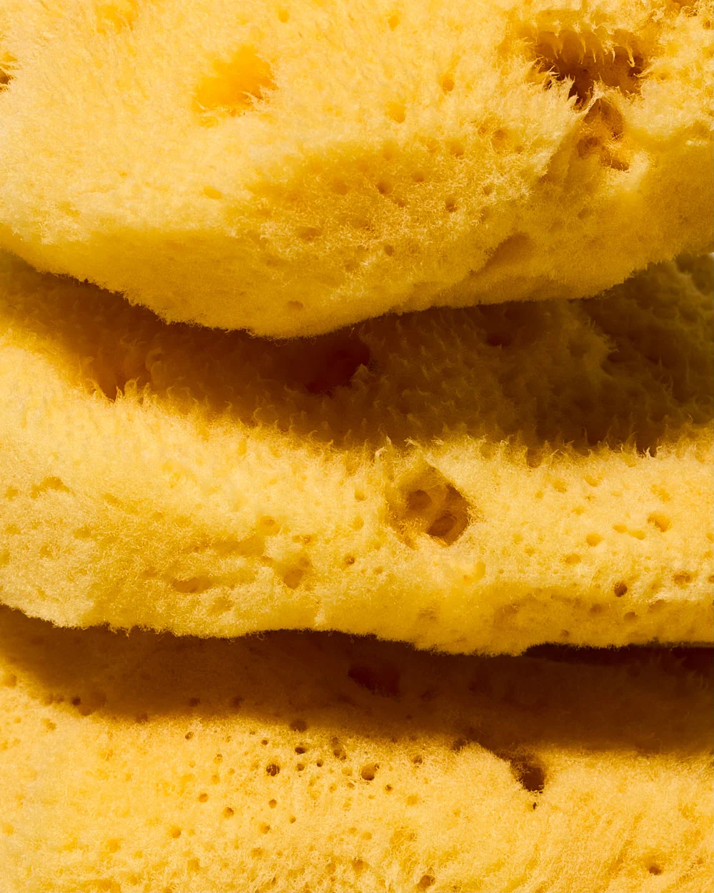 JO - Natural Bleached Fine Silk Sponge - Image 5
